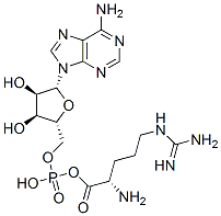 arginyl adenylate