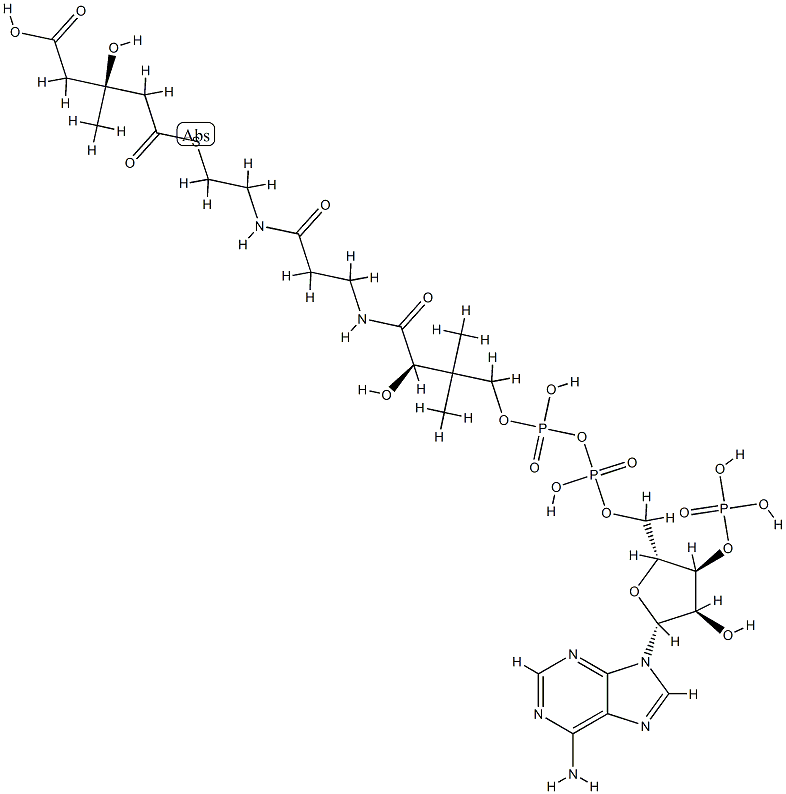 S-(hydrogen 3-hydroxy-3-methylglutaryl)coenzyme A