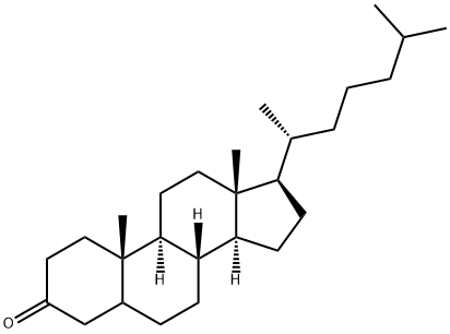 5ALPHA-CHOLESTAN-3-ONE, 97