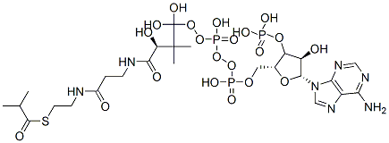 [(2R,3S,4R,5R)-5-(6-aminopurin-9-yl)-4-hydroxy-2-[[hydroxy-[hydroxy-[(3R)-3-hydroxy-2,2-dimethyl-3-[2-[2-(2-methylpropanoylsulfanyl)ethylcarbamoyl]ethylcarbamoyl]propoxy]phosphoryl]oxy-phosphoryl]oxymethyl]oxolan-3-yl]oxyphosphonic acid