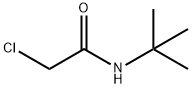N-(叔丁基)-2-氯乙酰胺