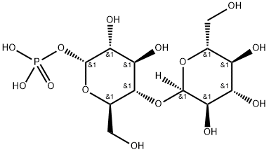 maltose 1-phosphate