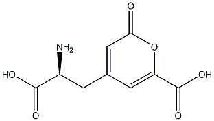 stizolobic acid