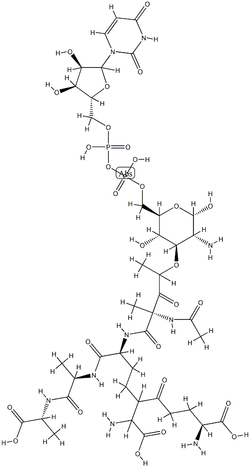 UDP-N-acetylmuramic acid pentapeptide