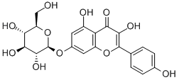 山奈酚-7-O-Β-D-葡萄糖苷