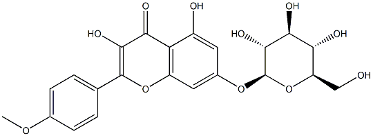 7-[(β-D-Glucopyranosyl)oxy]-3,5-dihydroxy-4'-methoxyflavone