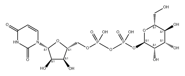 uridine diphosphate mannose