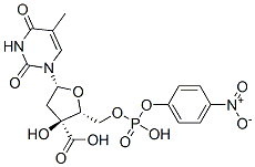 4-nitrophenyl 3'-thymidylate