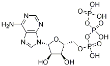 ADENOSINE 5'-TRIPHOSPHATE