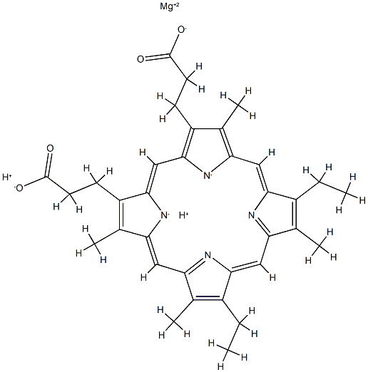 magnesium mesoporphyrin