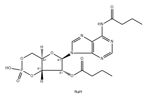 二丁酰环磷腺甙