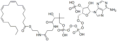 S-[2-[3-[[(2R)-4-[[[(2R,3R,5R)-5-(6-aminopurin-9-yl)-4-hydroxy-3-phosphonooxyoxolan-2-yl]methoxy-hydroxyphosphoryl]oxy-hydroxyphosphoryl]oxy-2-hydroxy-3,3-dimethylbutanoyl]amino]propanoylamino]ethyl] (5Z,8Z,11Z,14Z)-icosa-5,8,11,14-tetraenethioate