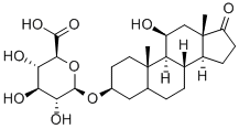 11B-HYDROXYETIOCHOLANOLONE GLUCURONIDE