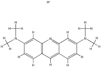 AcridineOrangeForMicroscopicalStaining