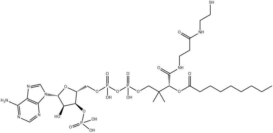 nonanoyl-coenzyme A