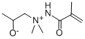 1,1-Dimethyl-1-(2-hydroxypropylamine)methacrylimide.