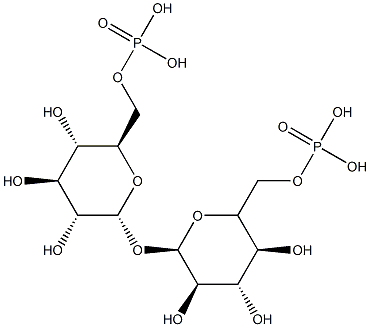 alpha,alpha-trehalose 6,6'-diphosphate