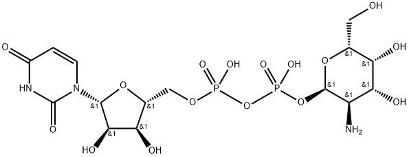 uridine diphosphate galactosamine