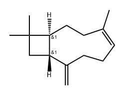 Caryophyllene