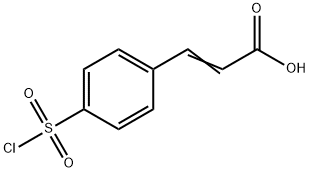 3-(4-CHLOROSULFONYL-PHENYL)-ACRYLIC ACID