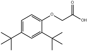 2-(2,4-二叔丁基苯氧基)乙酸