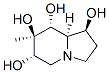 1,6,7,8-Indolizinetetrol, octahydro-7-methyl-, 1S-(1.alpha.,6.beta.,7.alpha.,8.beta.,8a.beta.)-