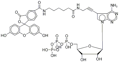 Fluorescein Alkynylamino-ATP