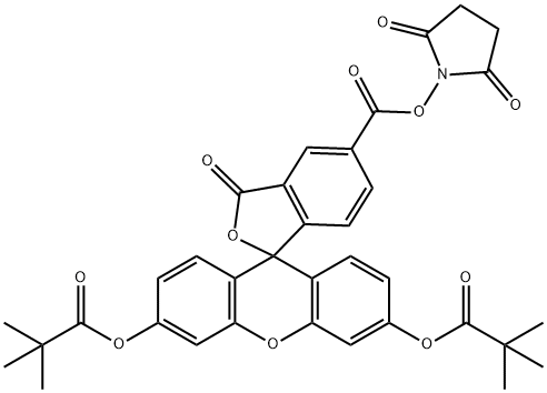 5-CARBOXYFLUORESCEIN DIPIVALATE N-HYDROXYSUCCINIMIDE ESTER