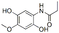 Propanamide, N-(2,5-dihydroxy-4-methoxyphenyl)- (9CI)