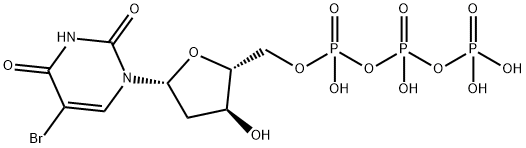 bromodeoxyuridine triphosphate