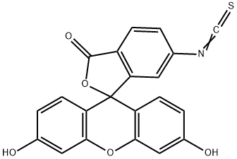 6-异硫氰酸荧光素