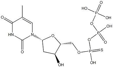 thymidine 5'-O-(1-thiotriphosphate)