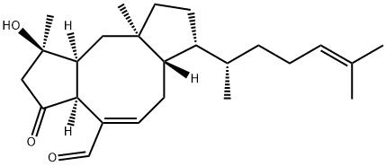 蛇孢菌素C
