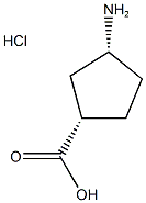 CIS-3-AMINOCYCLOPENTANE-1-CARBOXYLIC-ACID HYDROCHLORIDE 1G