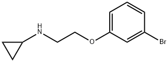 N-(2-(3-溴苯氧基)乙基)环丙胺