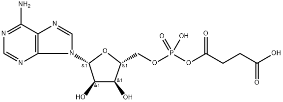 N6-(1,2-dicarboxyethyl)-AMP
