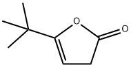 5-叔丁基-2(3H)-呋喃酮