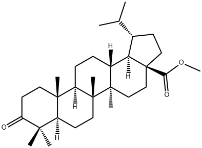 Dihydrobetulonicacidmethylester