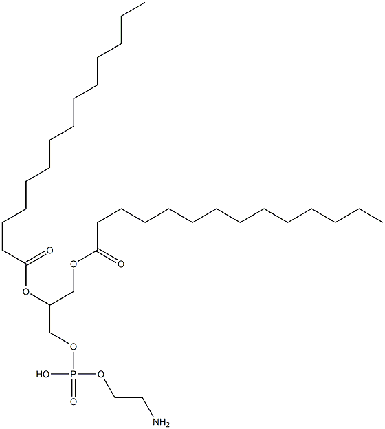 1,2-dimyristoylphosphatidylethanolamine