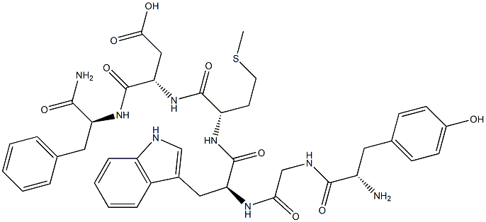 gastrin hexapeptide