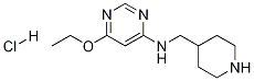 (6-乙氧基-嘧啶-4-基)-哌啶-4-基甲基-胺盐酸盐