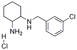 N-(3-氯-苄基)-环己烷-1,2-二胺盐酸盐
