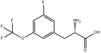 3-氟-5-三氟甲氧基-DL-苯基丙氨酸