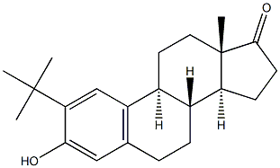 2-tert-Butylestrone