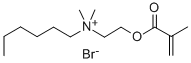 N-己基-N-甲基丙烯酰氧基-N,N-二甲氨基溴化铵