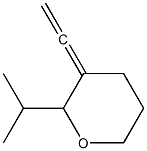 2H-Pyran,3-ethenylidenetetrahydro-2-(1-methylethyl)-(9CI)