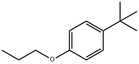 1-(叔丁基)-4-丙氧基苯