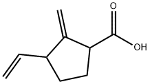 Cyclopentanecarboxylic acid, 3-ethenyl-2-methylene- (9CI)
