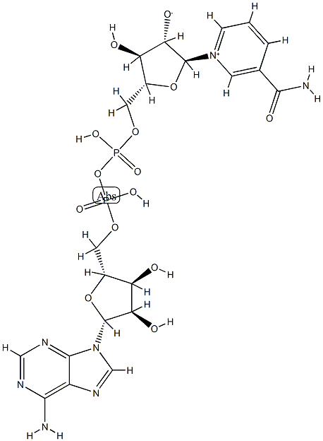 nicotinamide arabinoside adenine dinucleotide