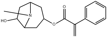 阿托酸6Β-羟基-3Α-托品酯